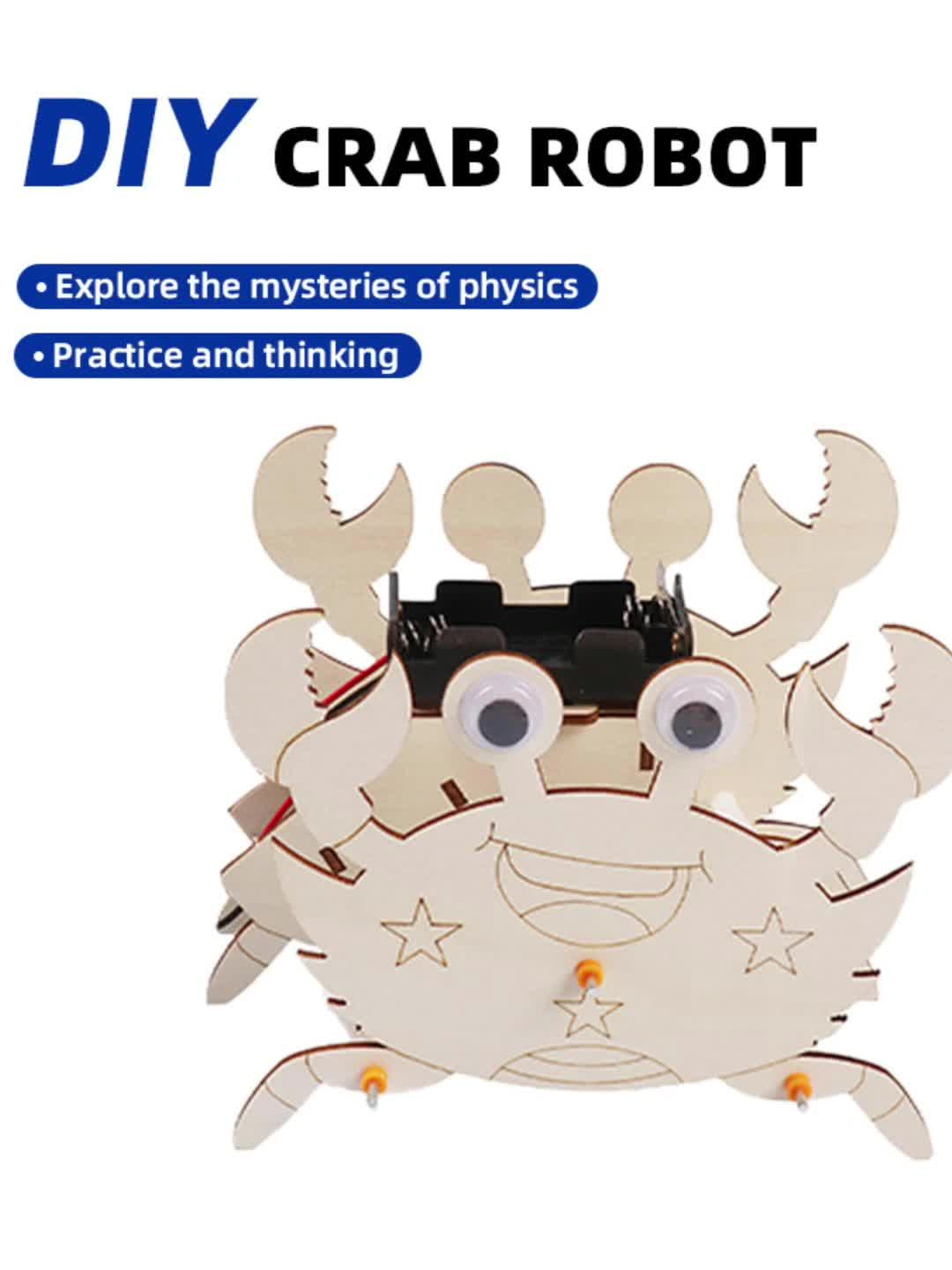 Biomimetic mechanical crab STEM toy video cover
